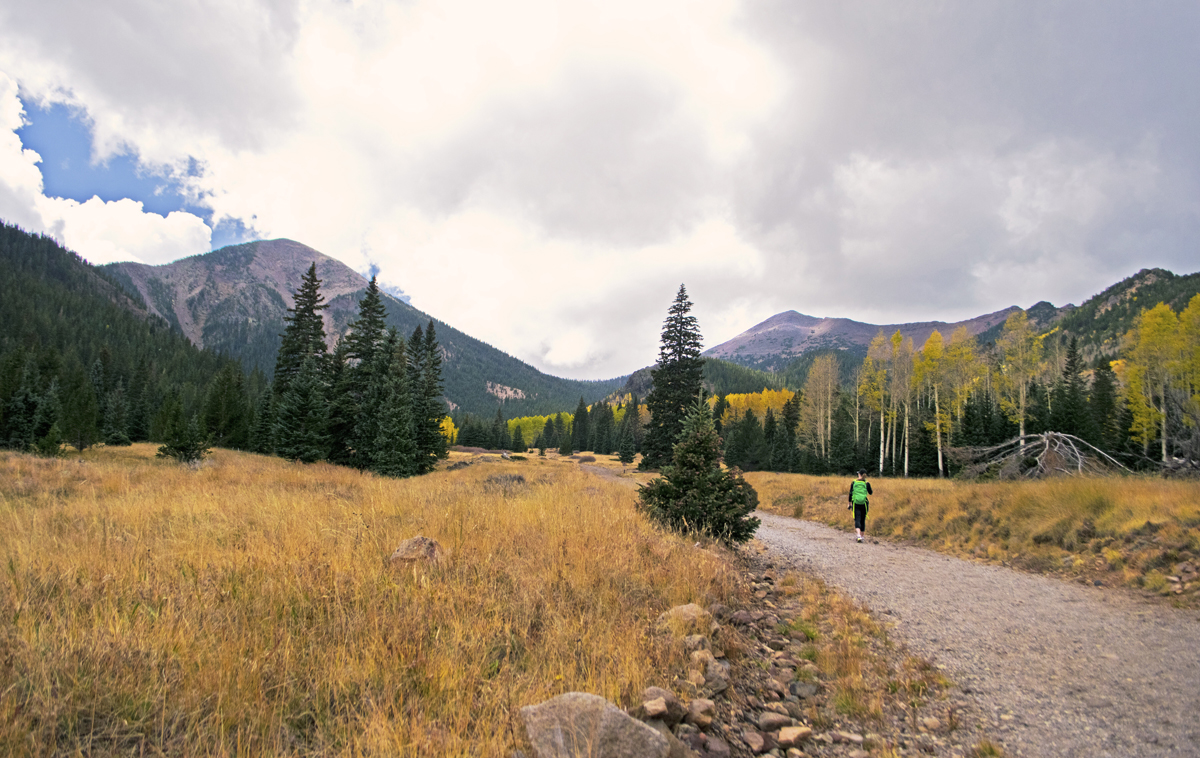 Moving To Flagstaff AZ: What To Know | MK Design & Build