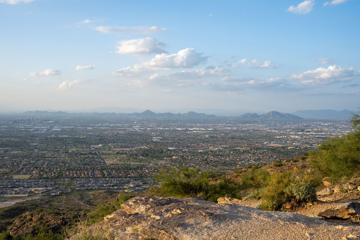 Mesa Living