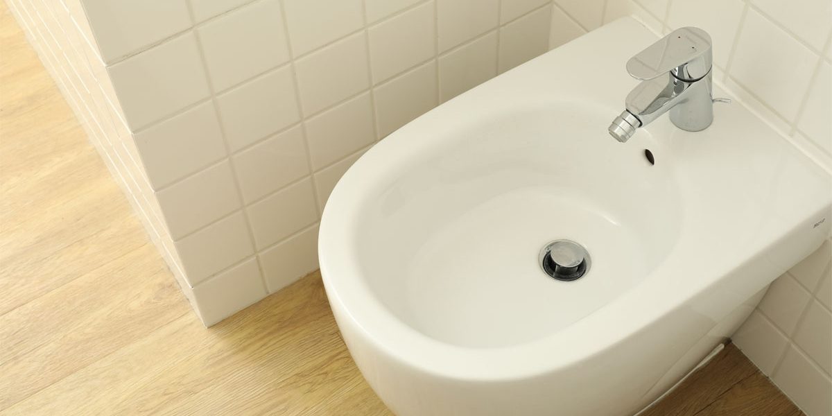 Bidet v Toilet Bidet v Toilet